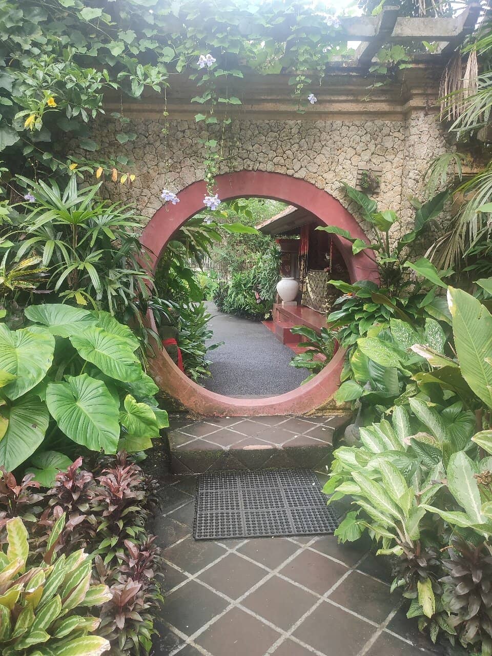 Artist's Studio & Frames