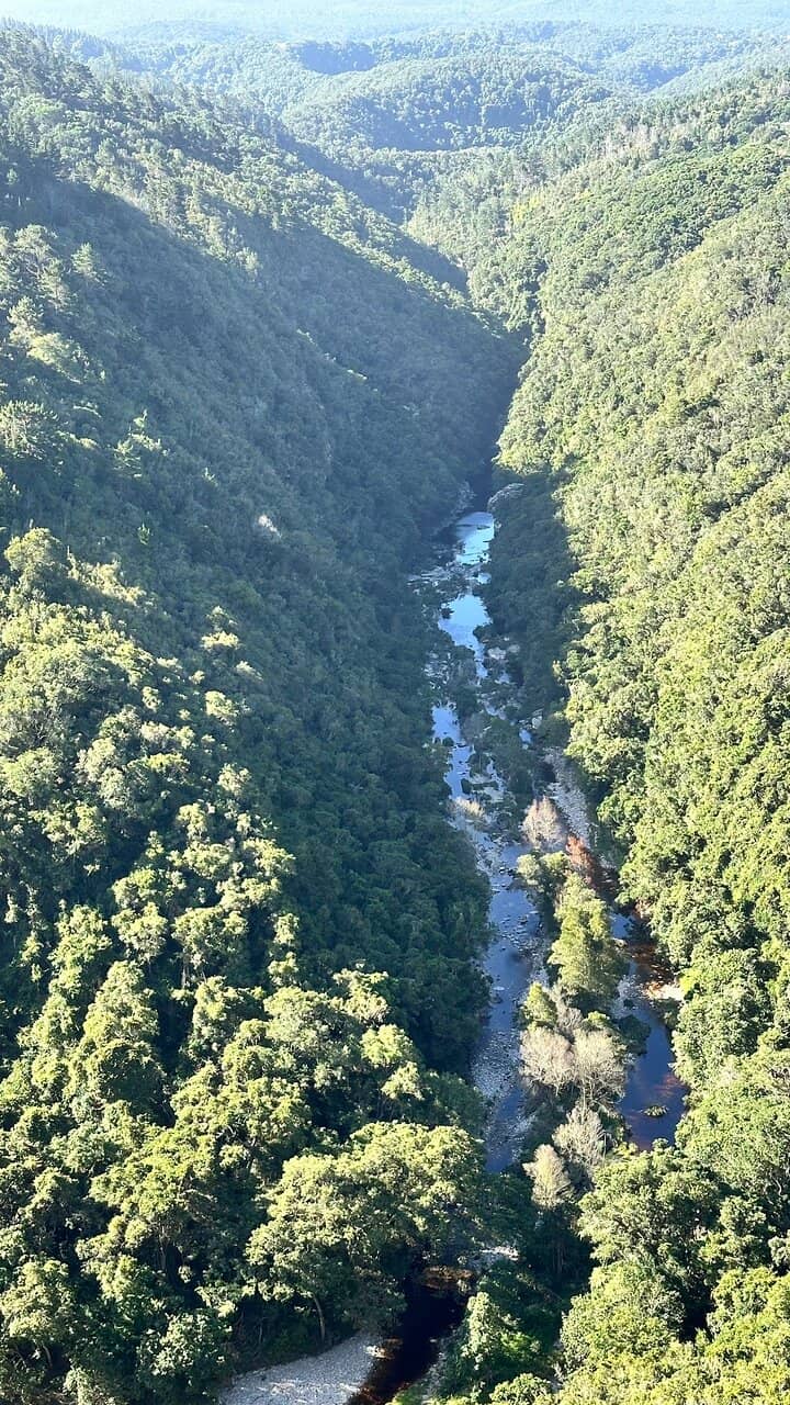 Panoramic Wilderness Views