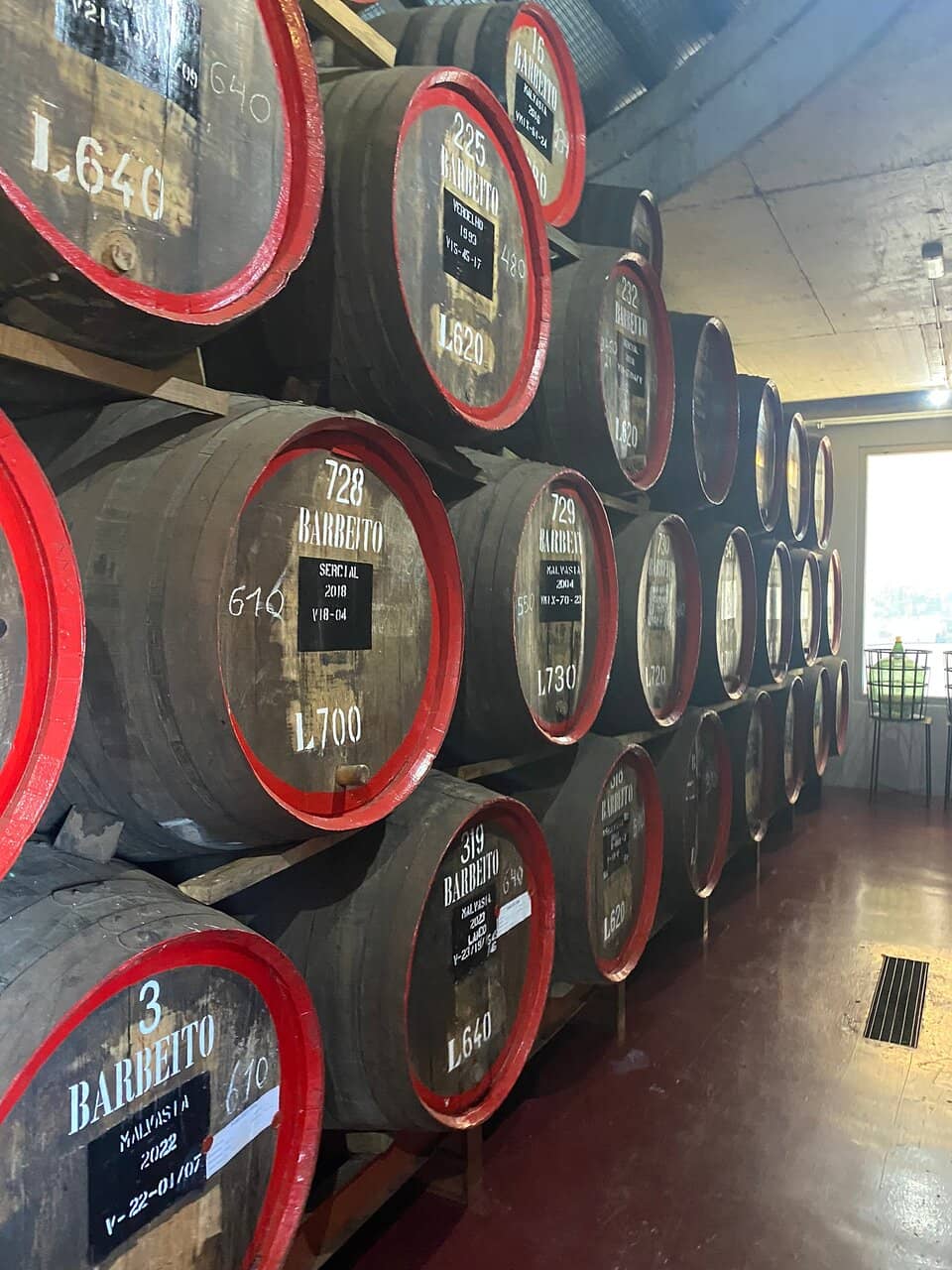 Guided Wine Tasting