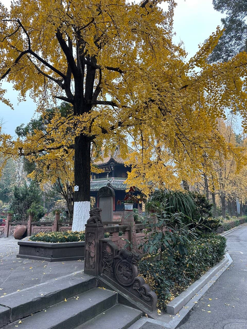 Vertical photo
