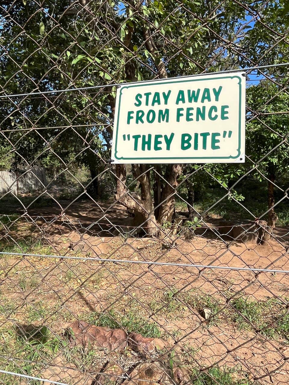 Expert-Led Educational Tours