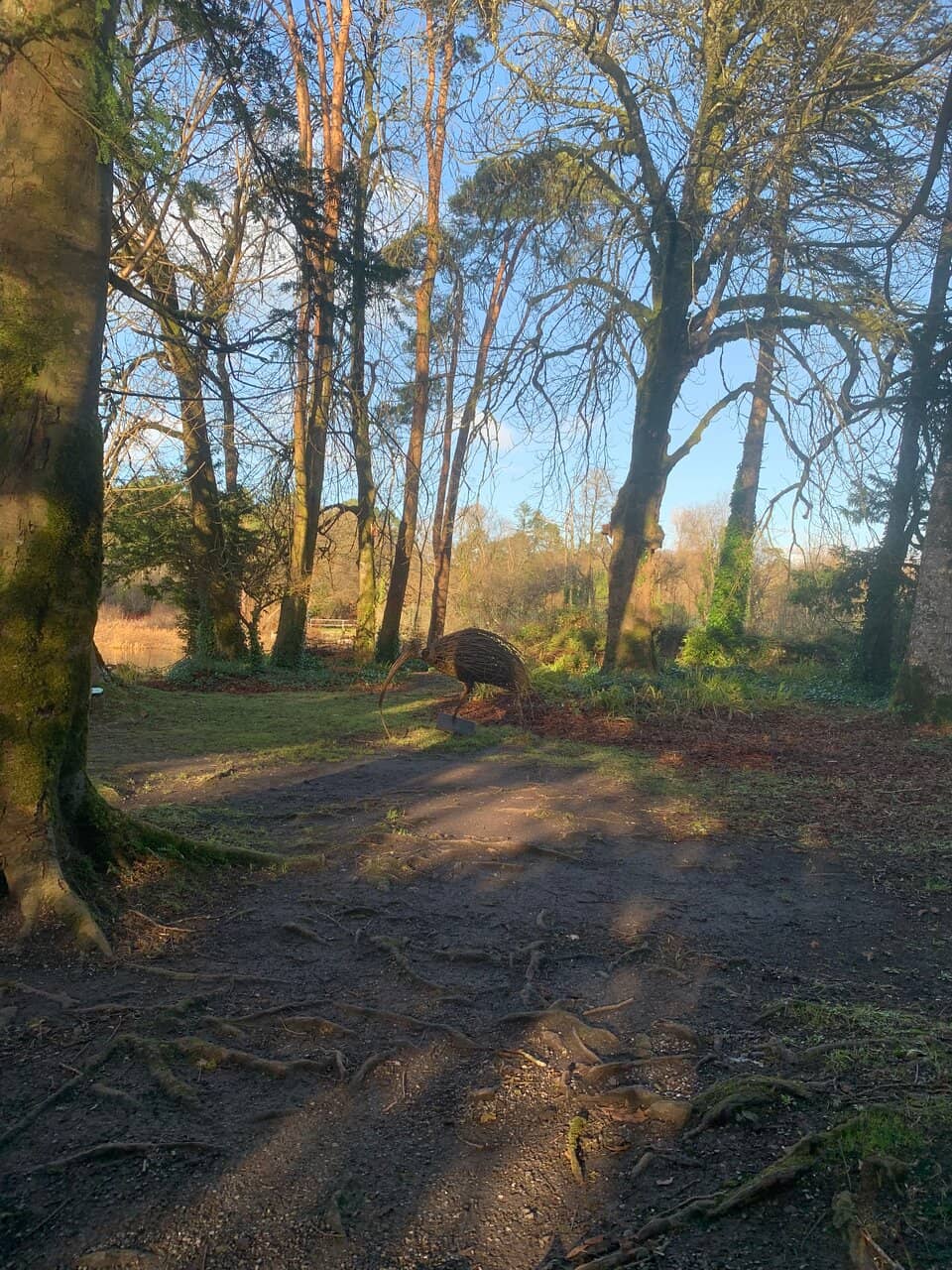 Cong Village & Quiet Man Attractions