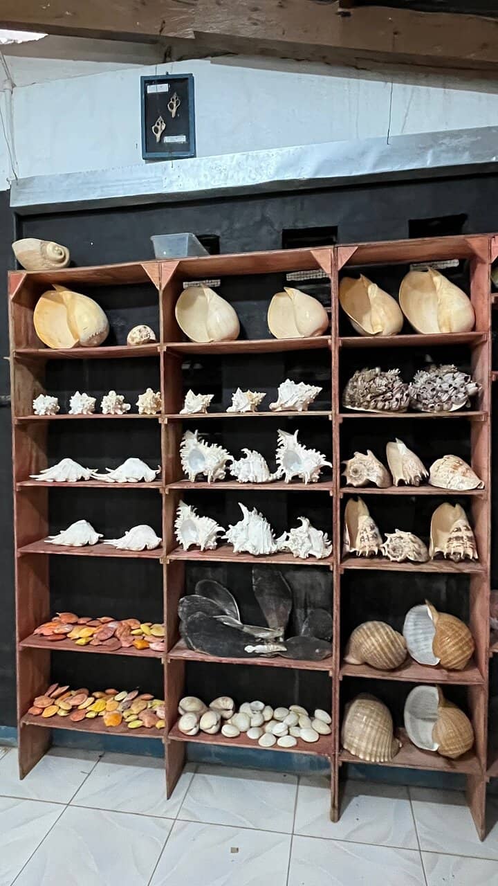 Discoveries of Quirino Hora