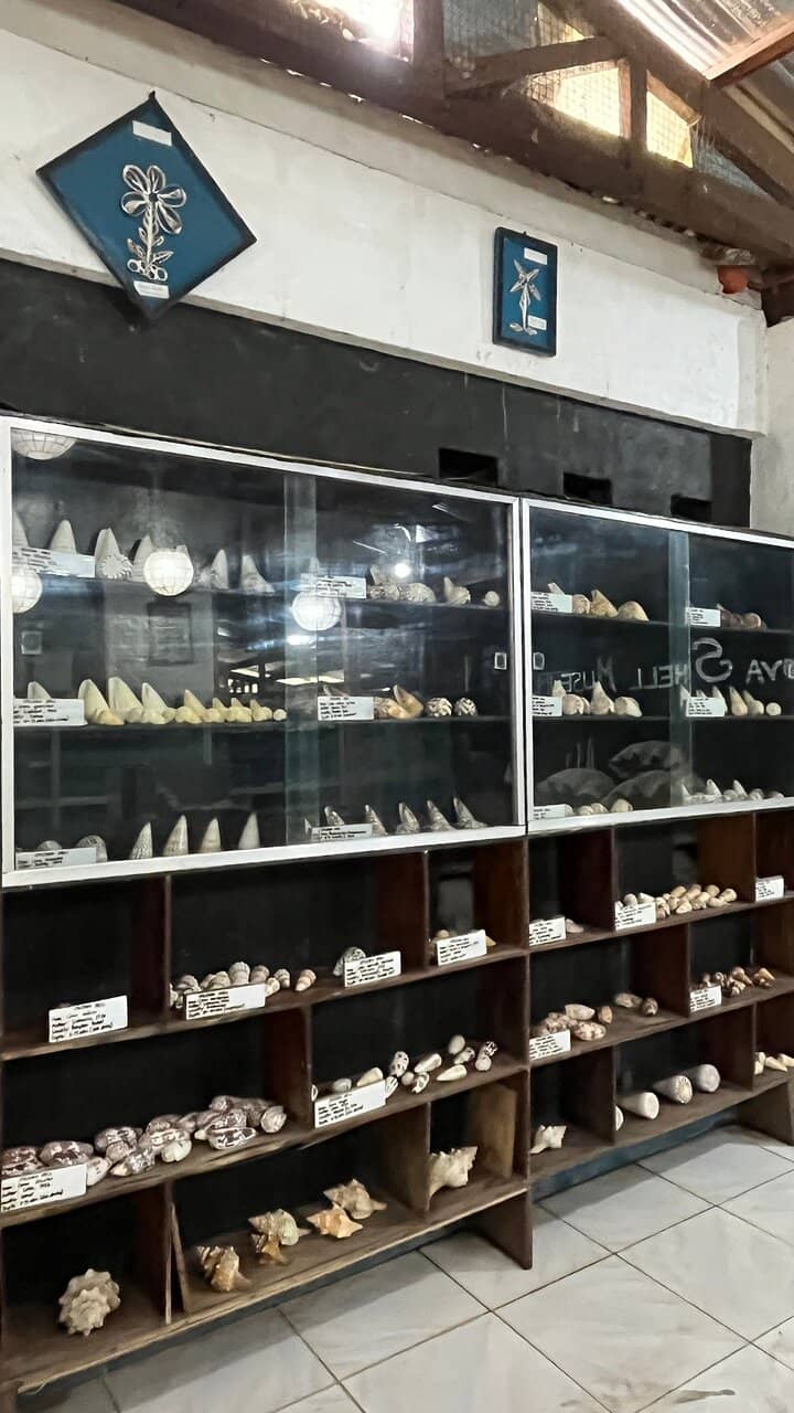 Local Fisherman's Treasures