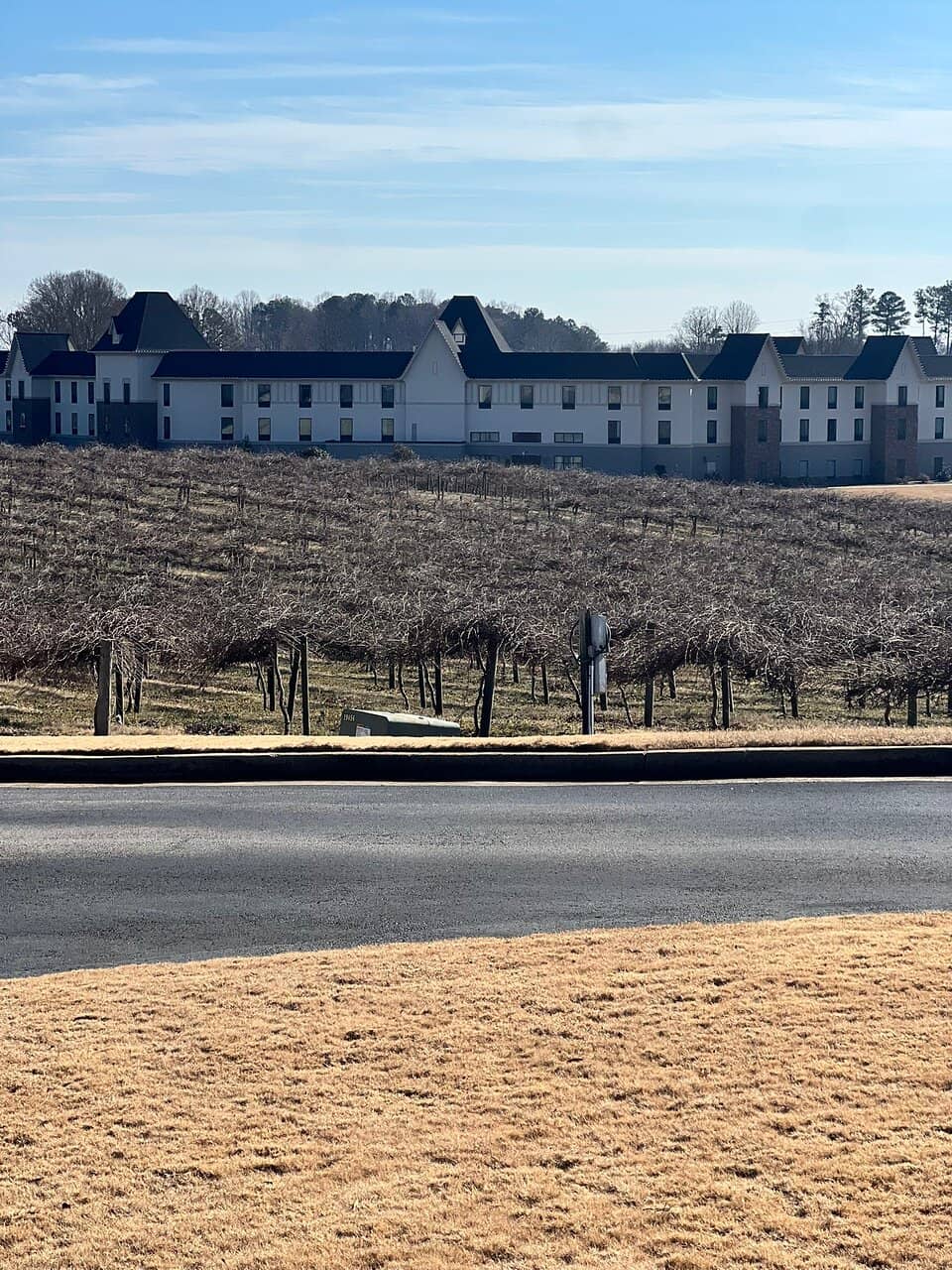 Elegant Resort Grounds