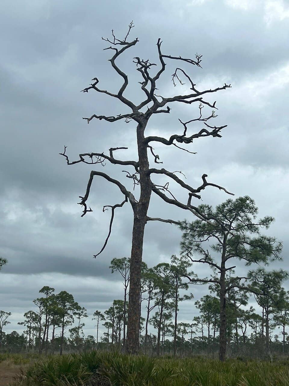 Vertical photo