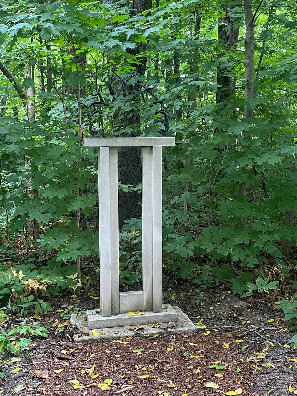 Vertical photo
