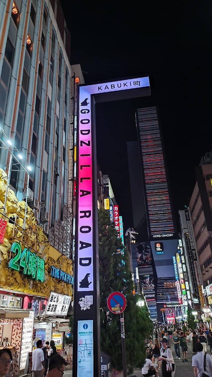 Kabukicho's Neon Streets