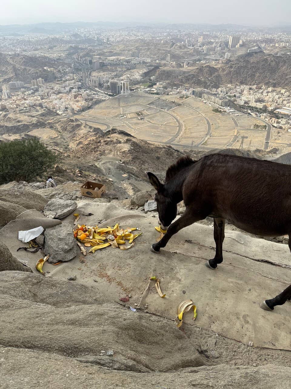 Cave of Thawr (Ghar Thawr)