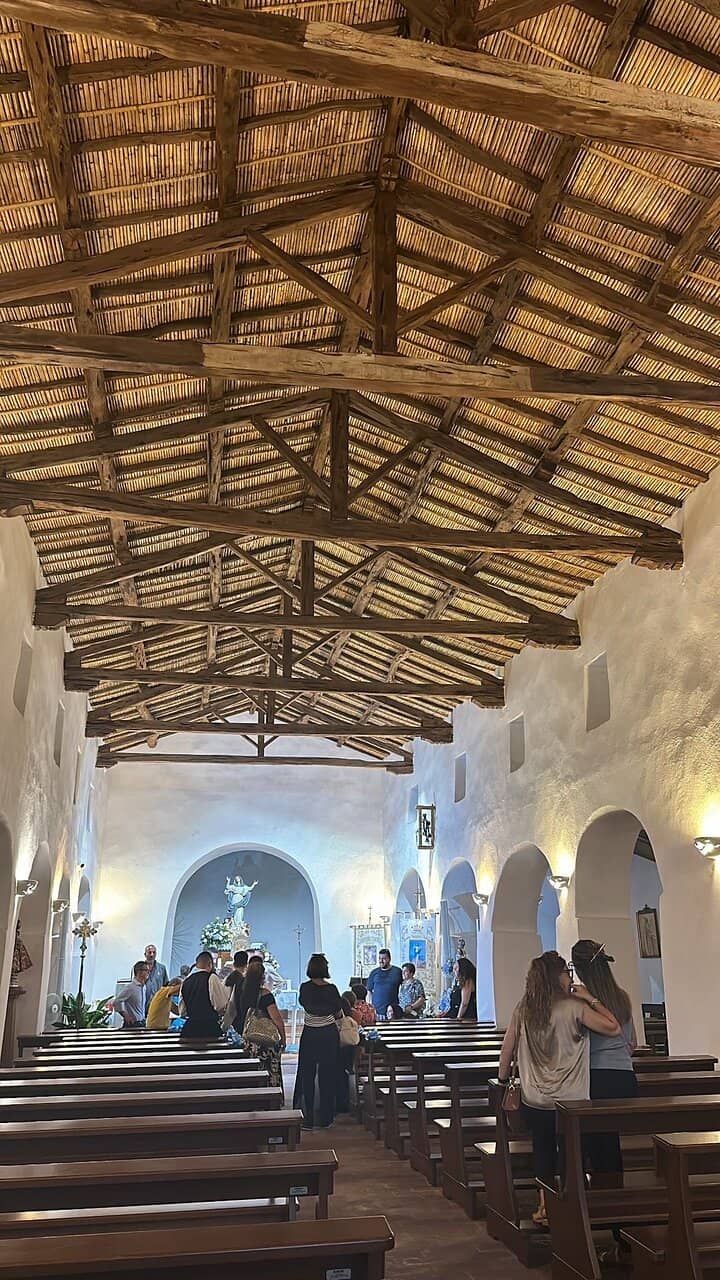 Ancient Olive Trees