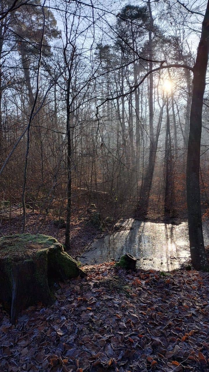 Accessible Walking Trails