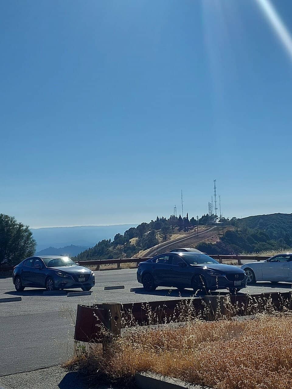 Majestic Redwood Groves