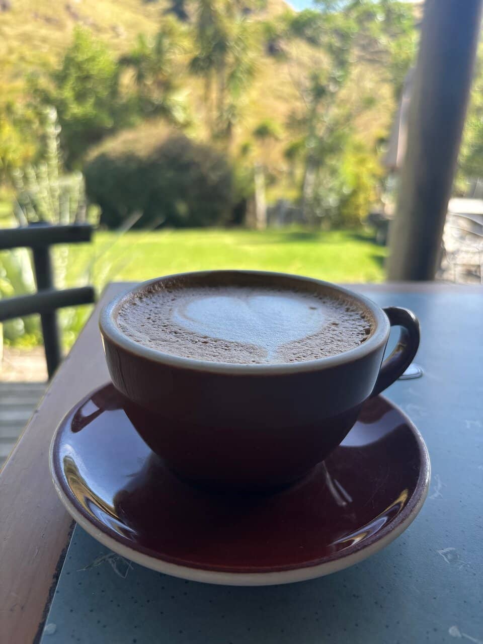 Unique Wildlife Encounters