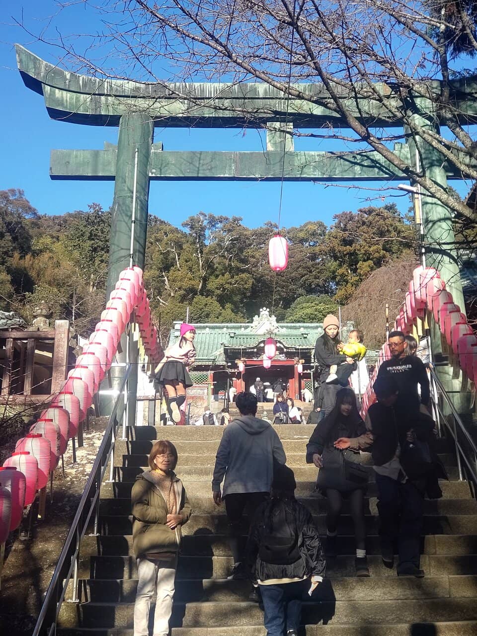 Breathtaking Suruga Bay Views
