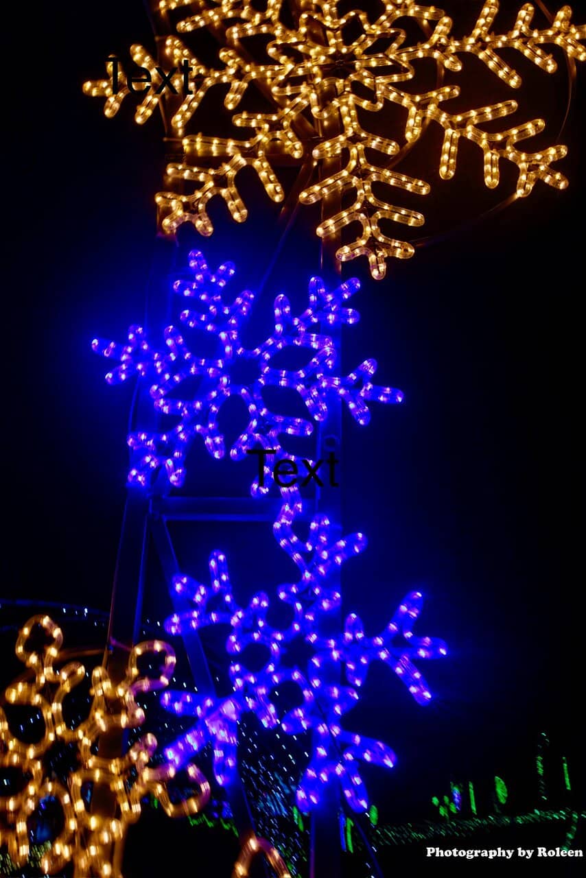 Magic of the Jack O'Lanterns