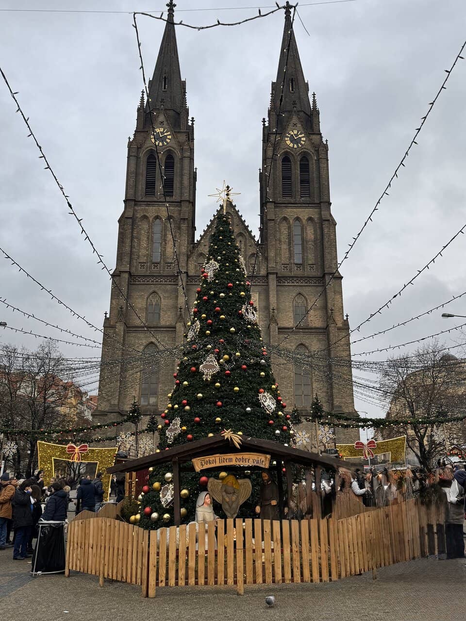 Vertical photo