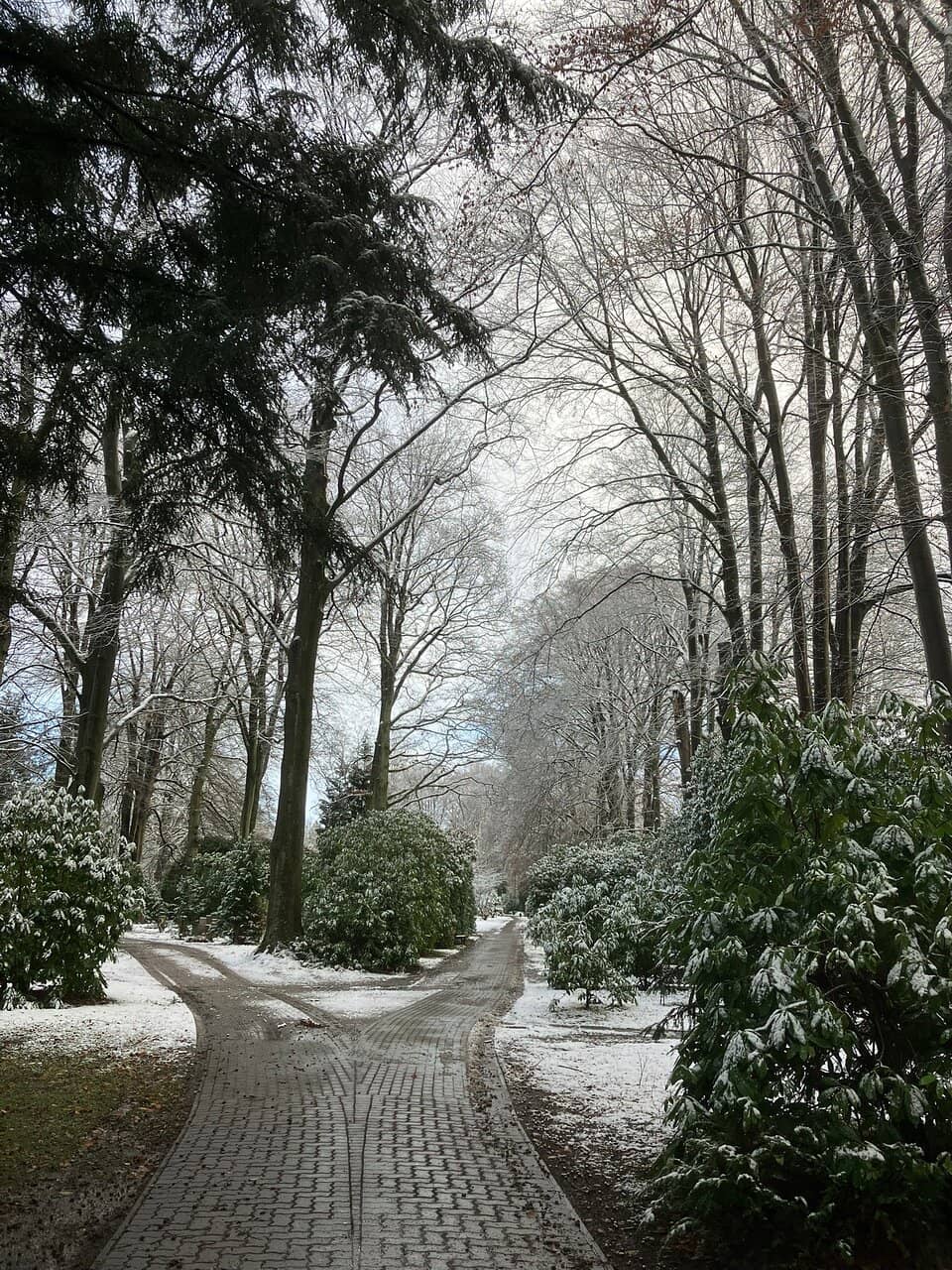 Diverse Burial Sections