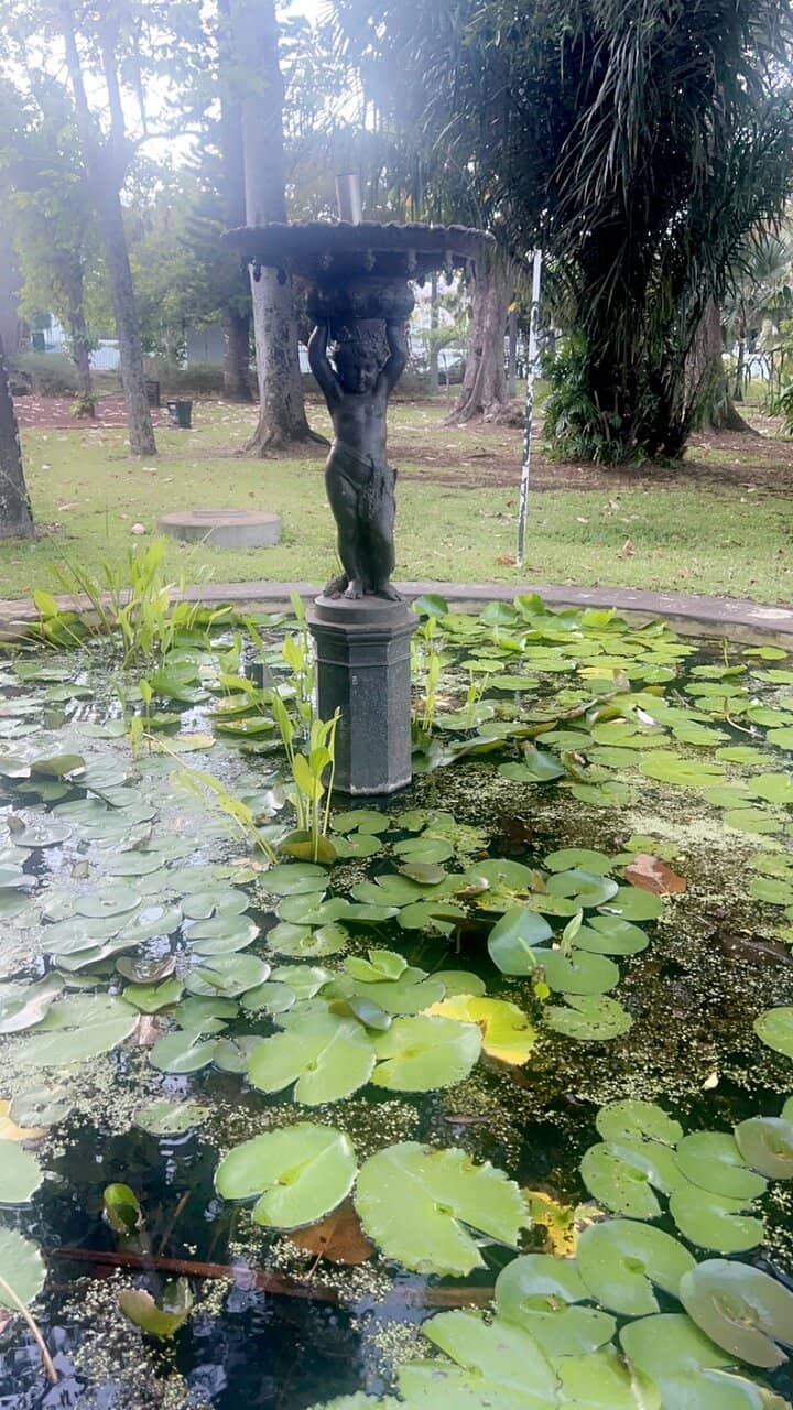 Exotic Plant Collection