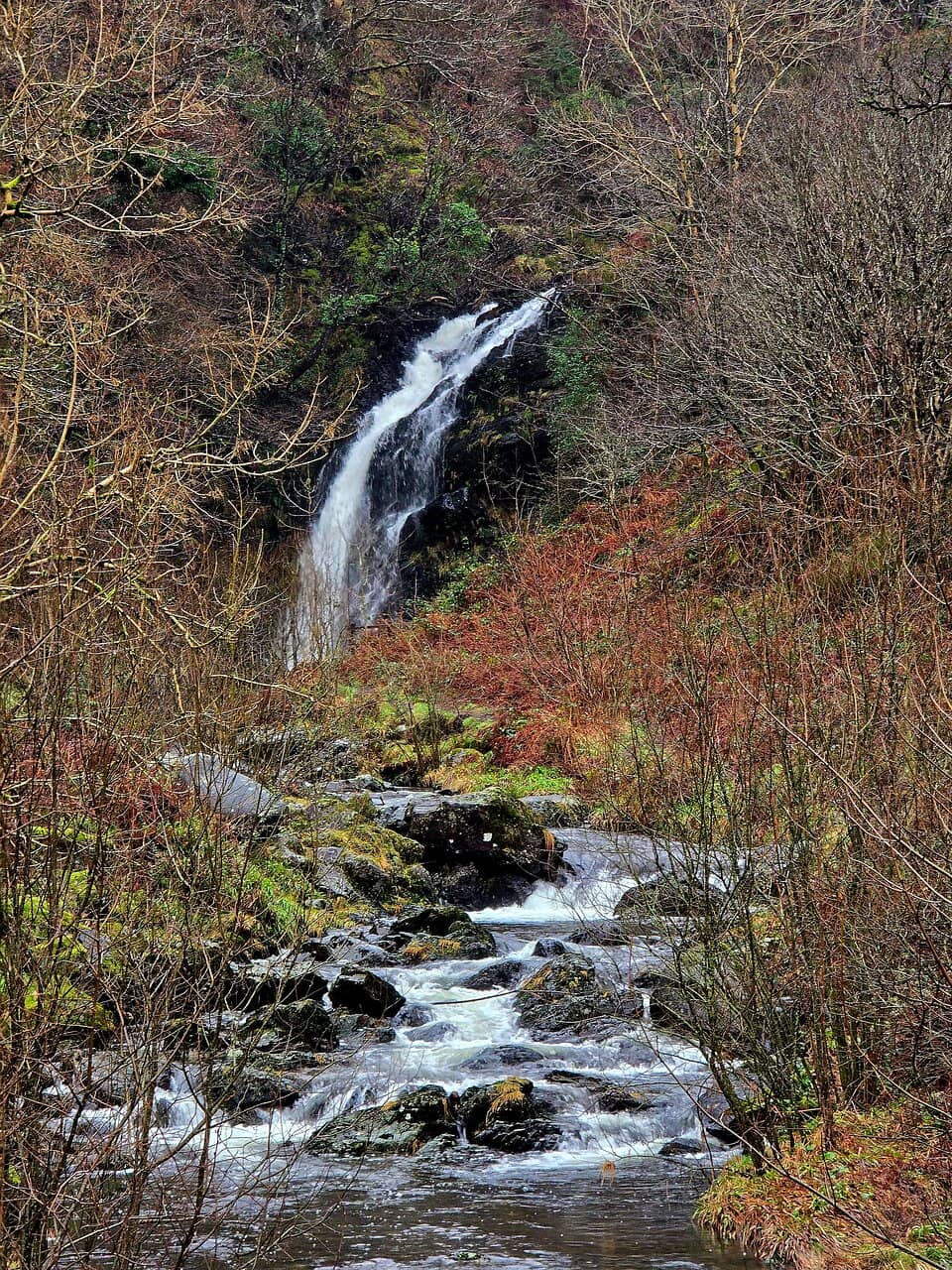 Family-Friendly Hike
