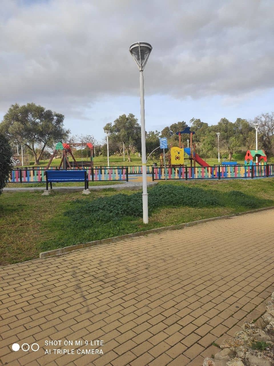 Vertical photo