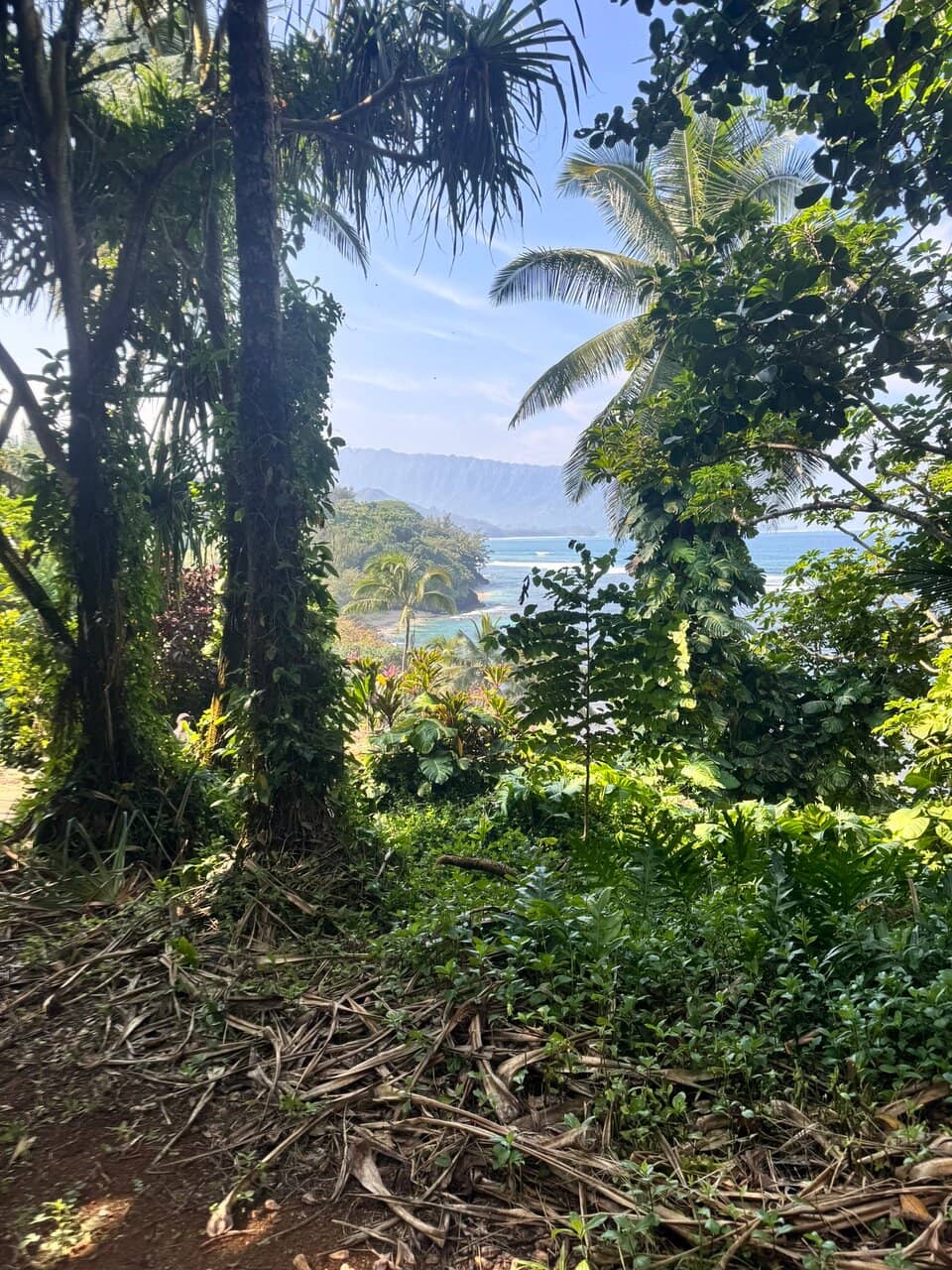 Vertical photo