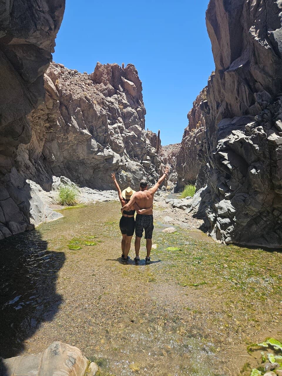 The Canyon's Waterfalls