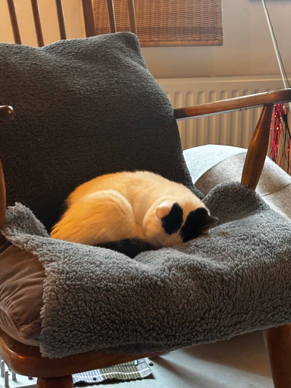 Delicious Cakes and Coffee