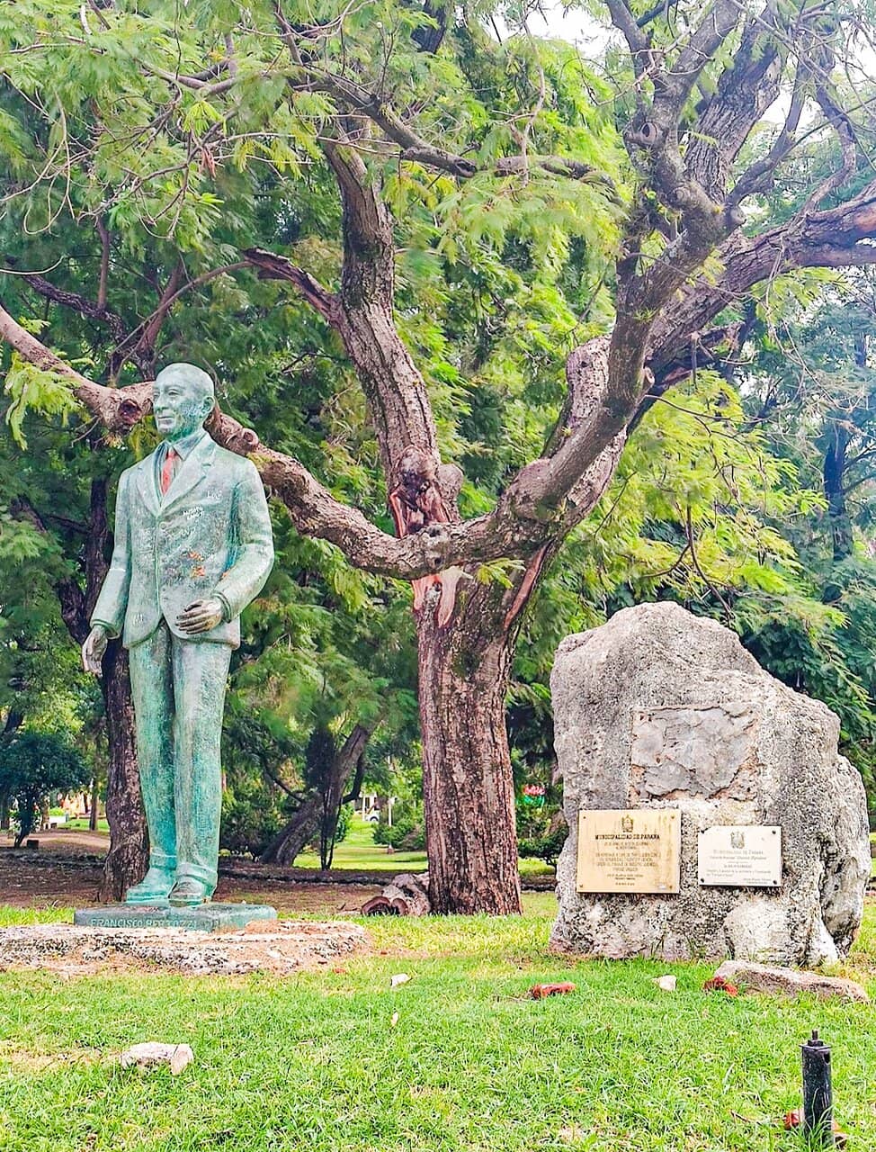 Lush Greenery and Trees