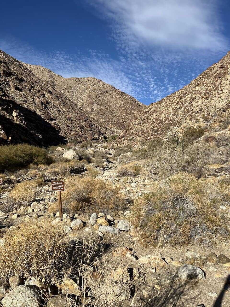 Bighorn Sheep Sightings