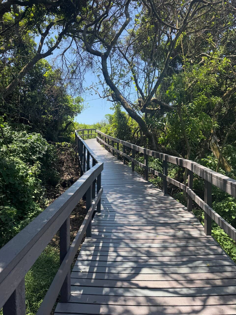 Umhlanga Beach Access