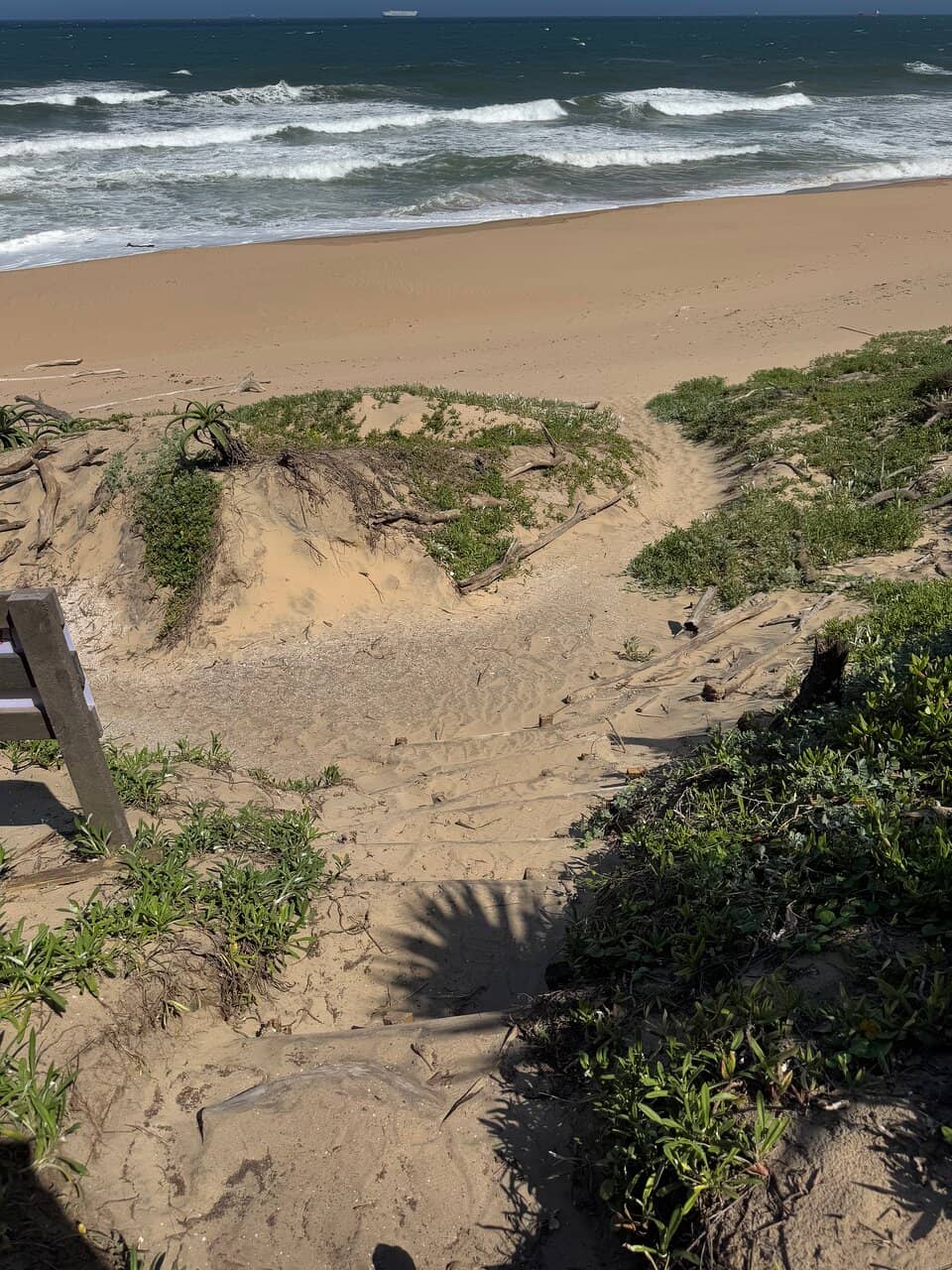 Boardwalk Through the Reeds