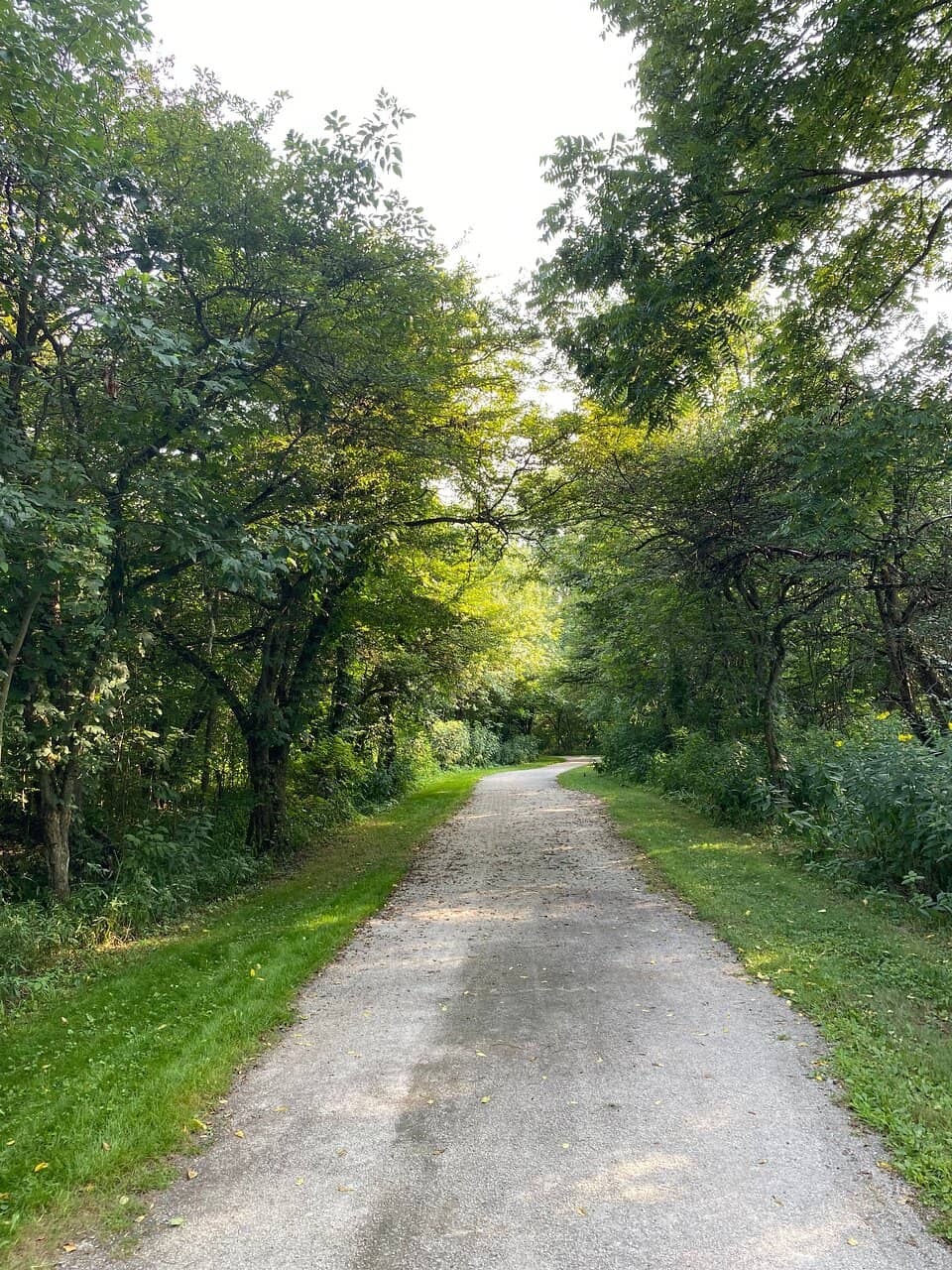 Renovated Barn & Restrooms