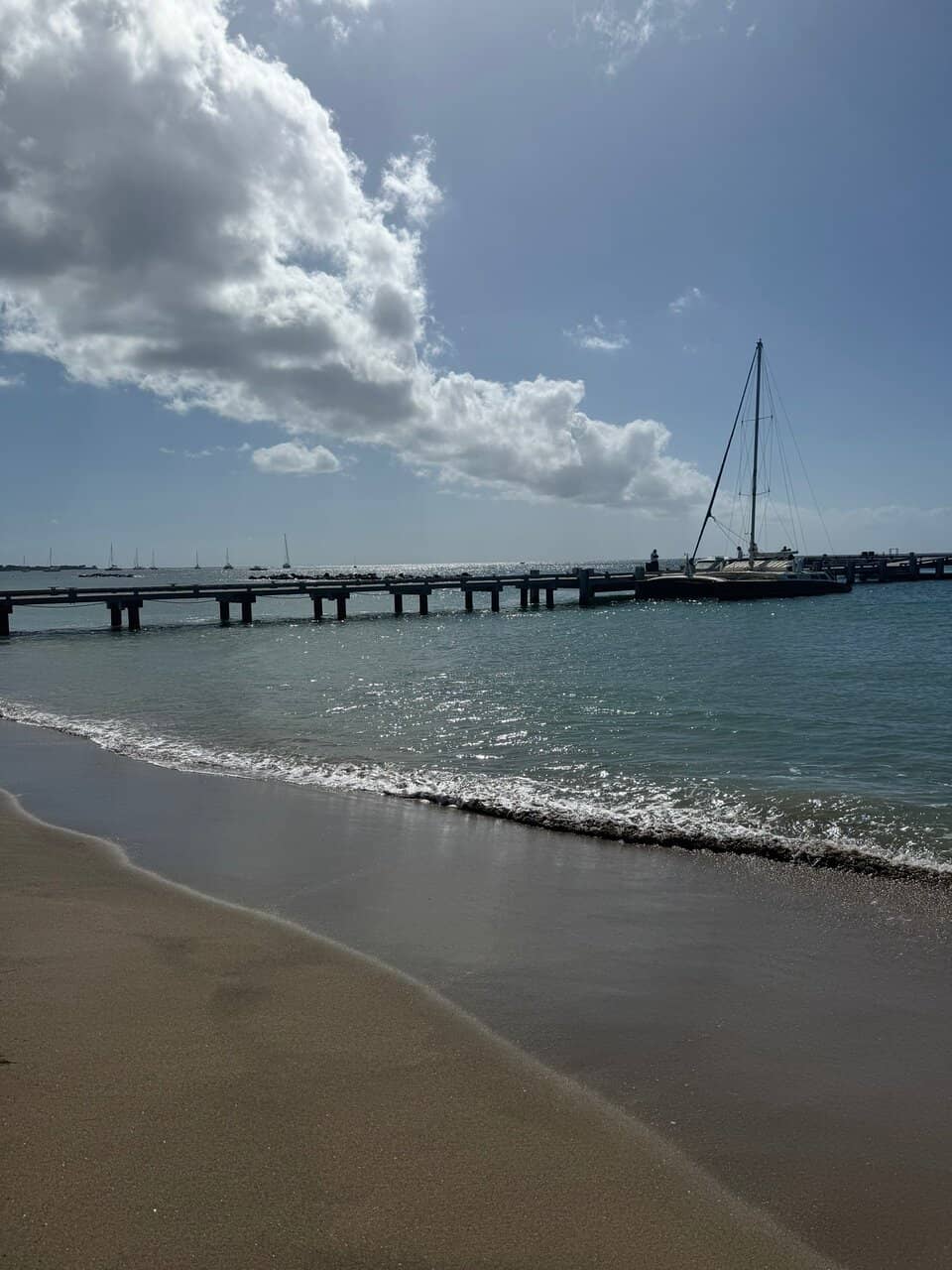 Delicious & Flavorful Dishes