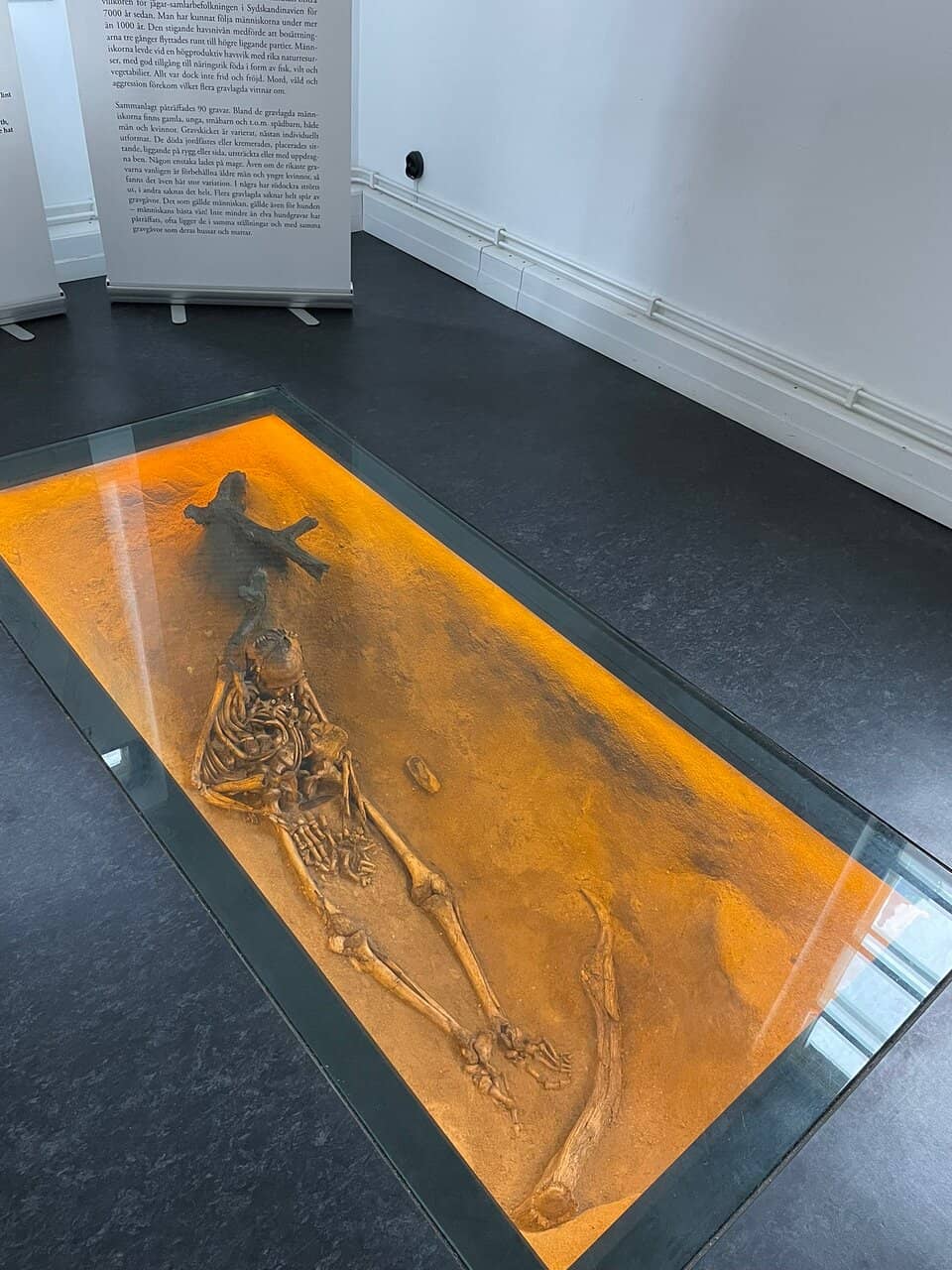 Ancient Civilizations