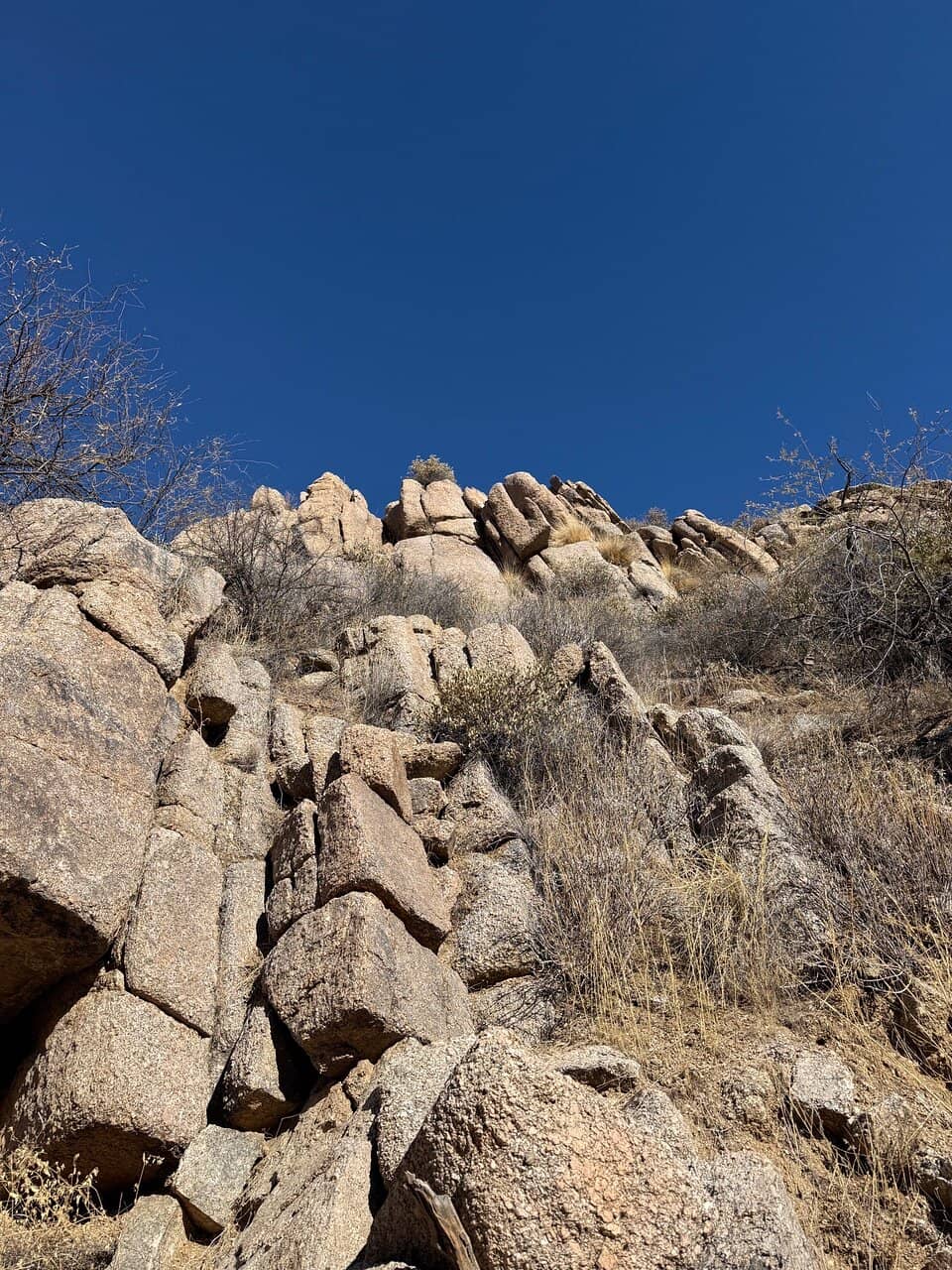 Vertical photo
