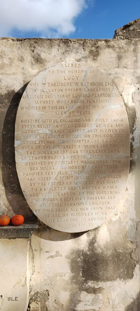 Panoramic Harbor Views