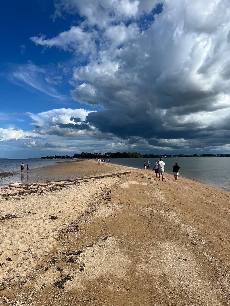 Family Playgrounds & Picnics
