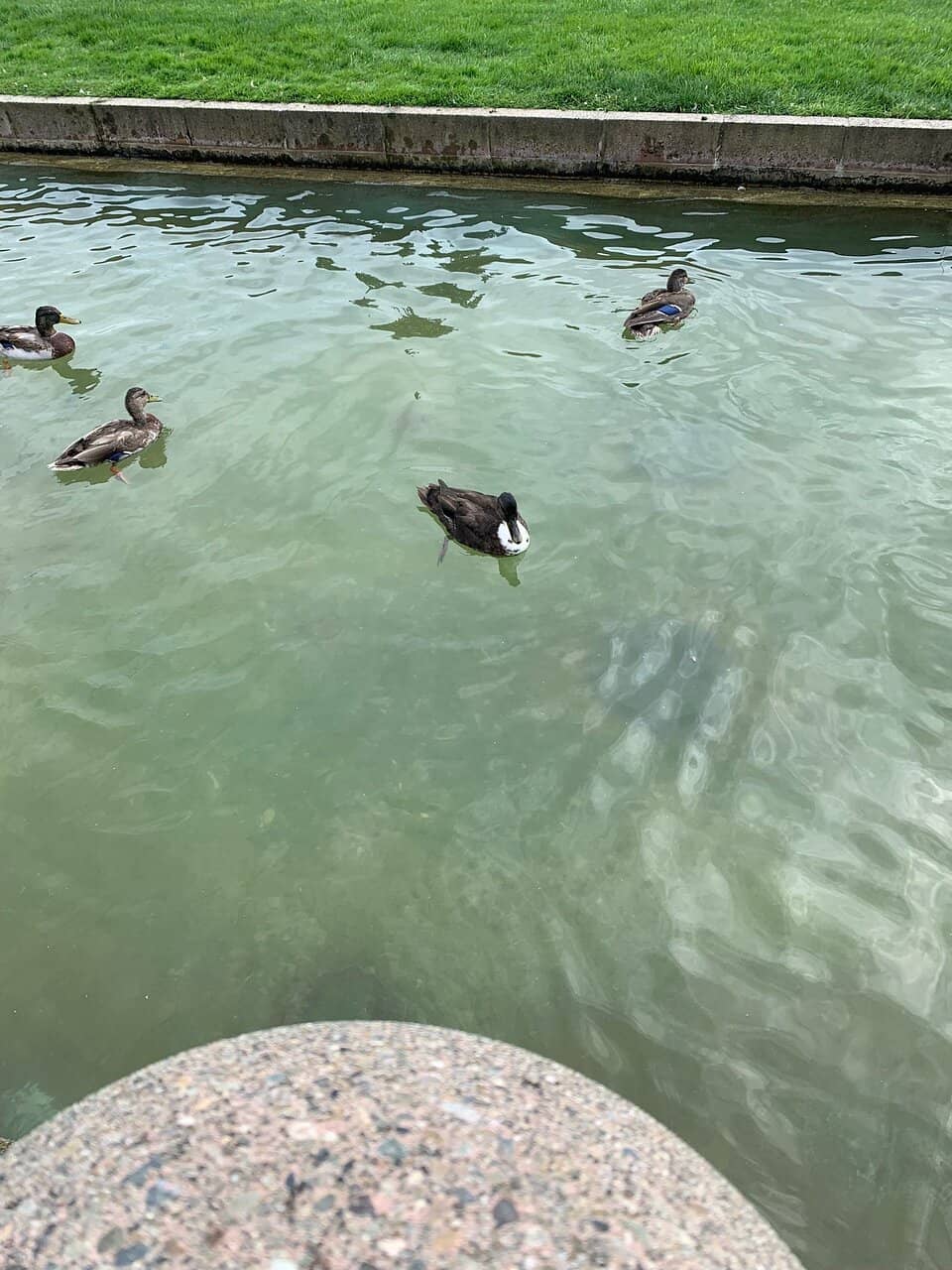 Inspirational Playground