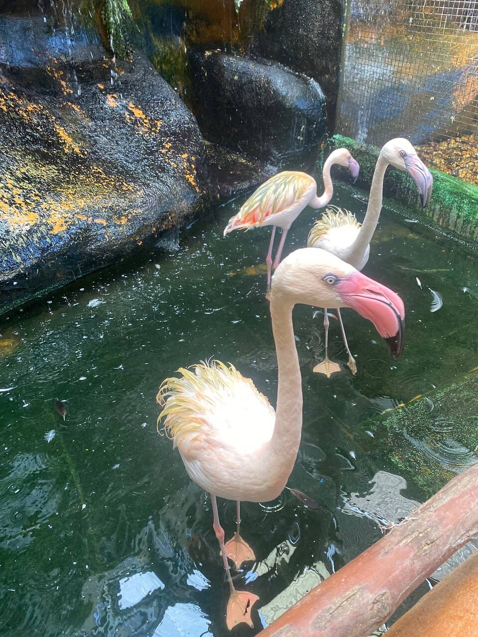 Reptile House Encounters