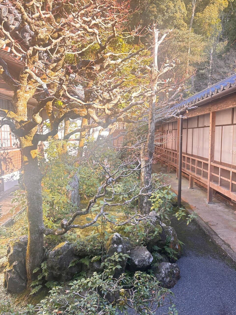 Sand Gardens (Byakusadan)