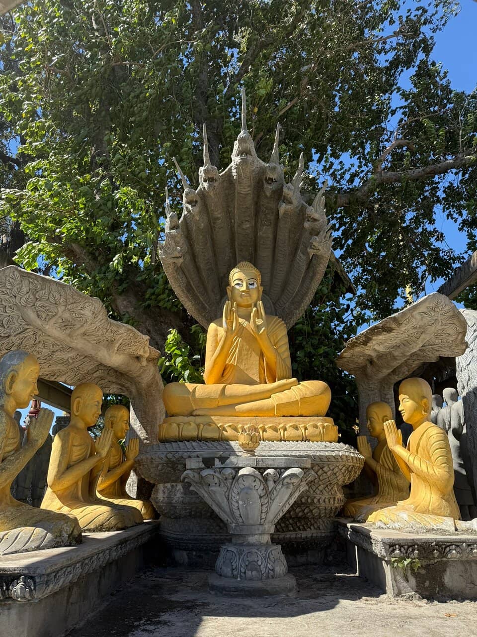 Peaceful Meditation Space