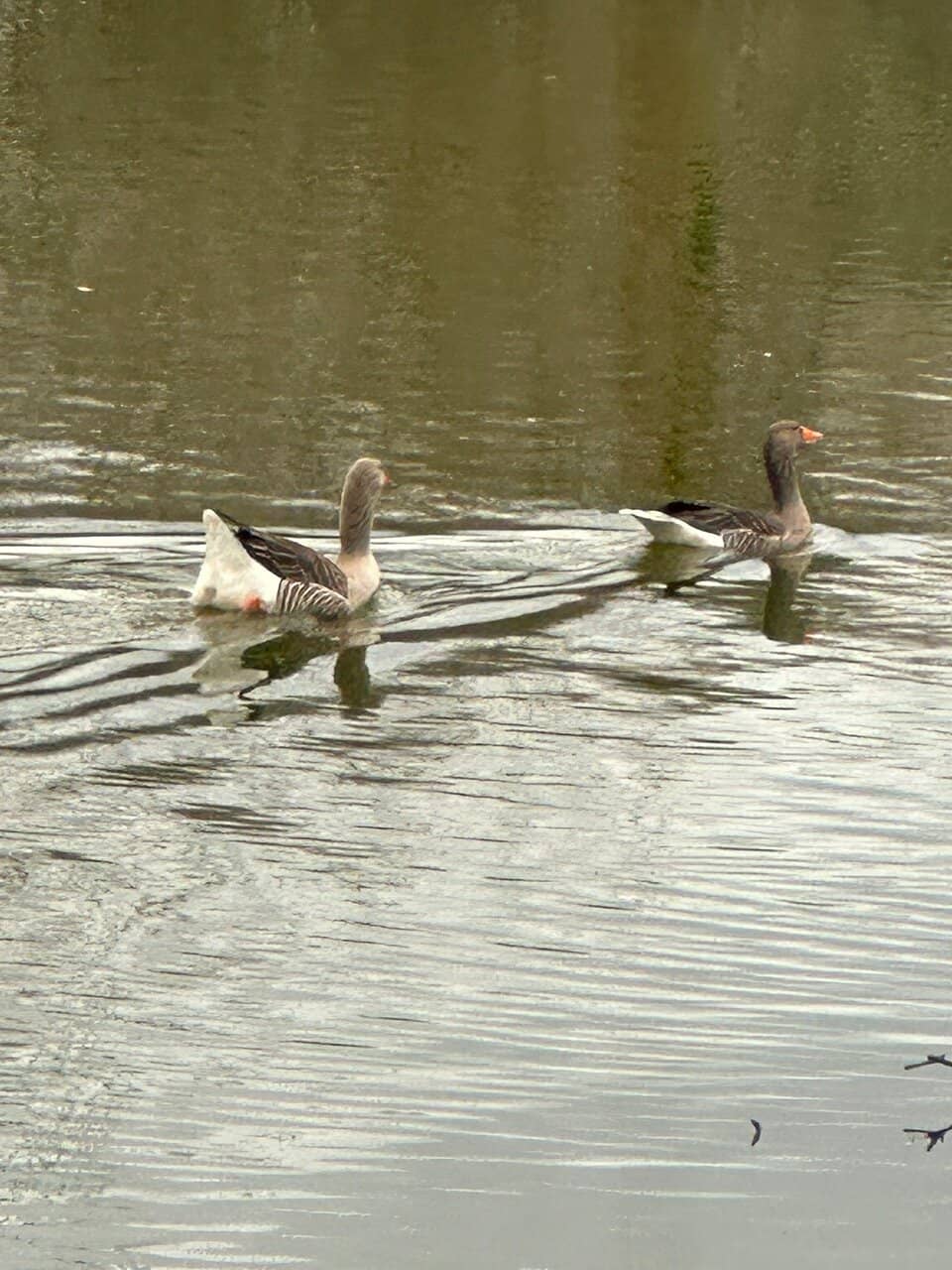 Hidden Shipwreck Discoveries