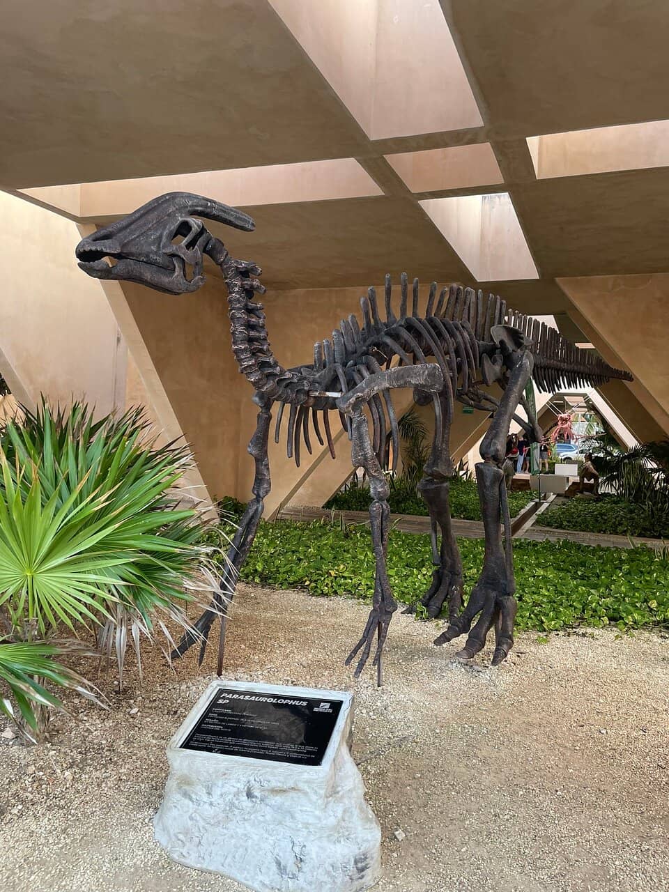 Dinosaur Exhibits