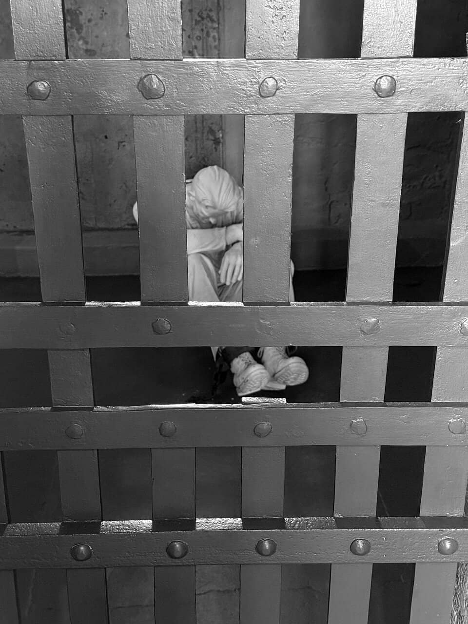Daring Escape Stories