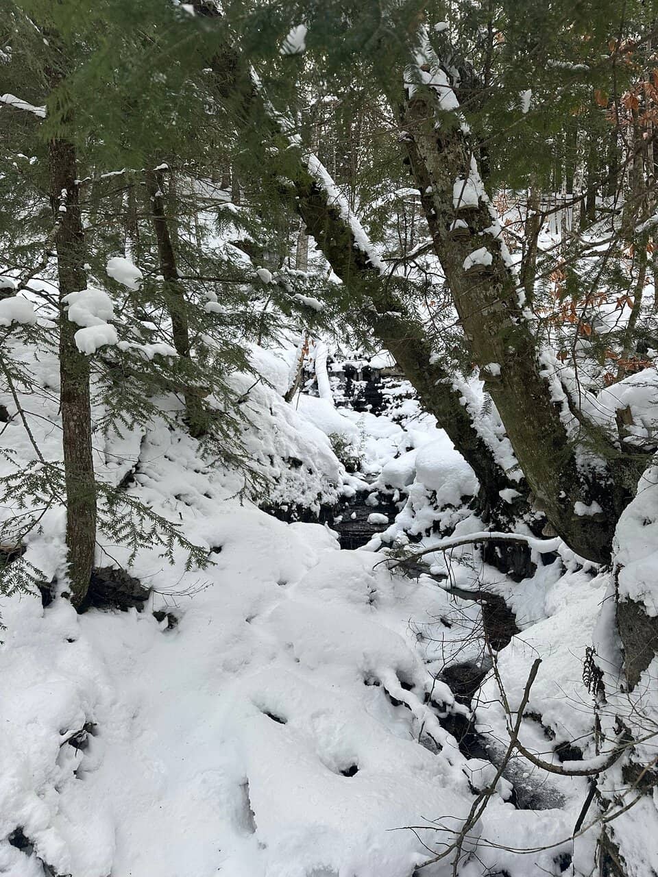 Rock River Canyon Wilderness Trail