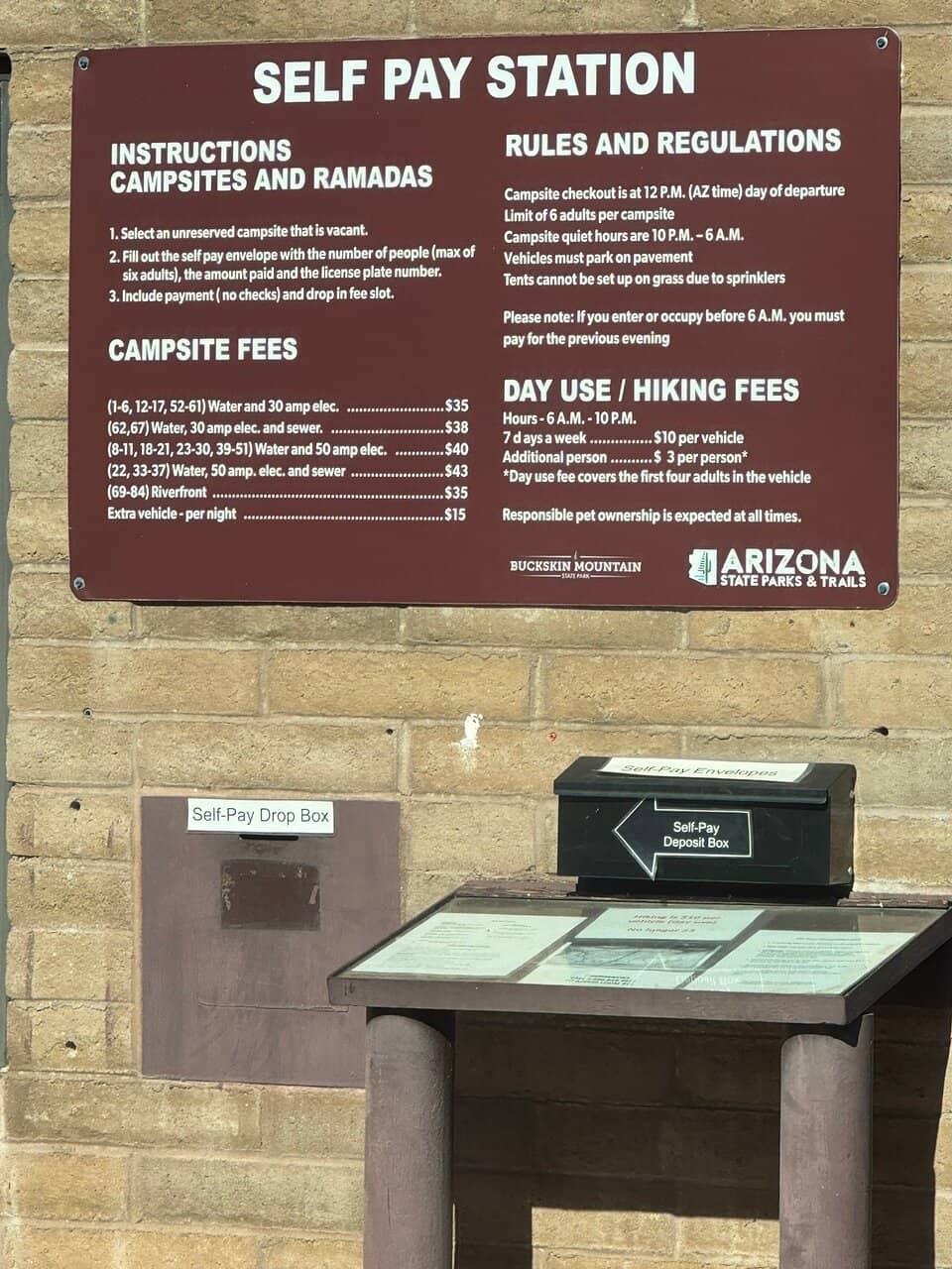 Dog-Friendly Fun