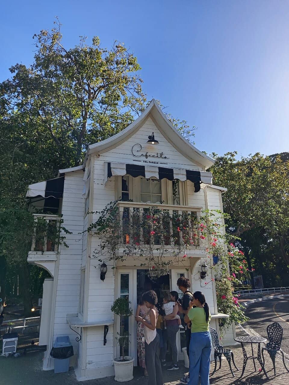 Christmas Illuminations