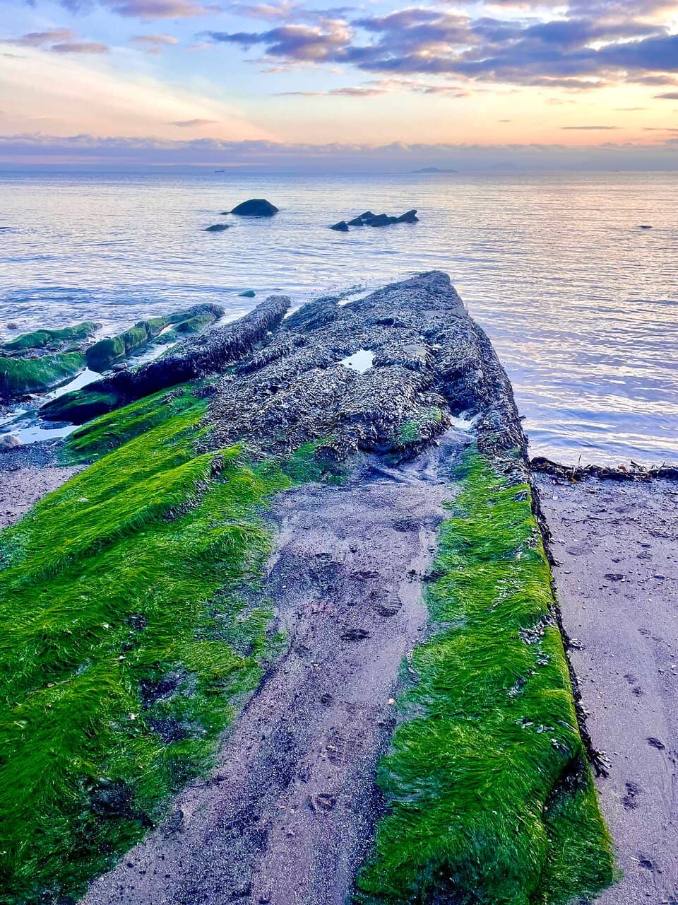 Vertical photo