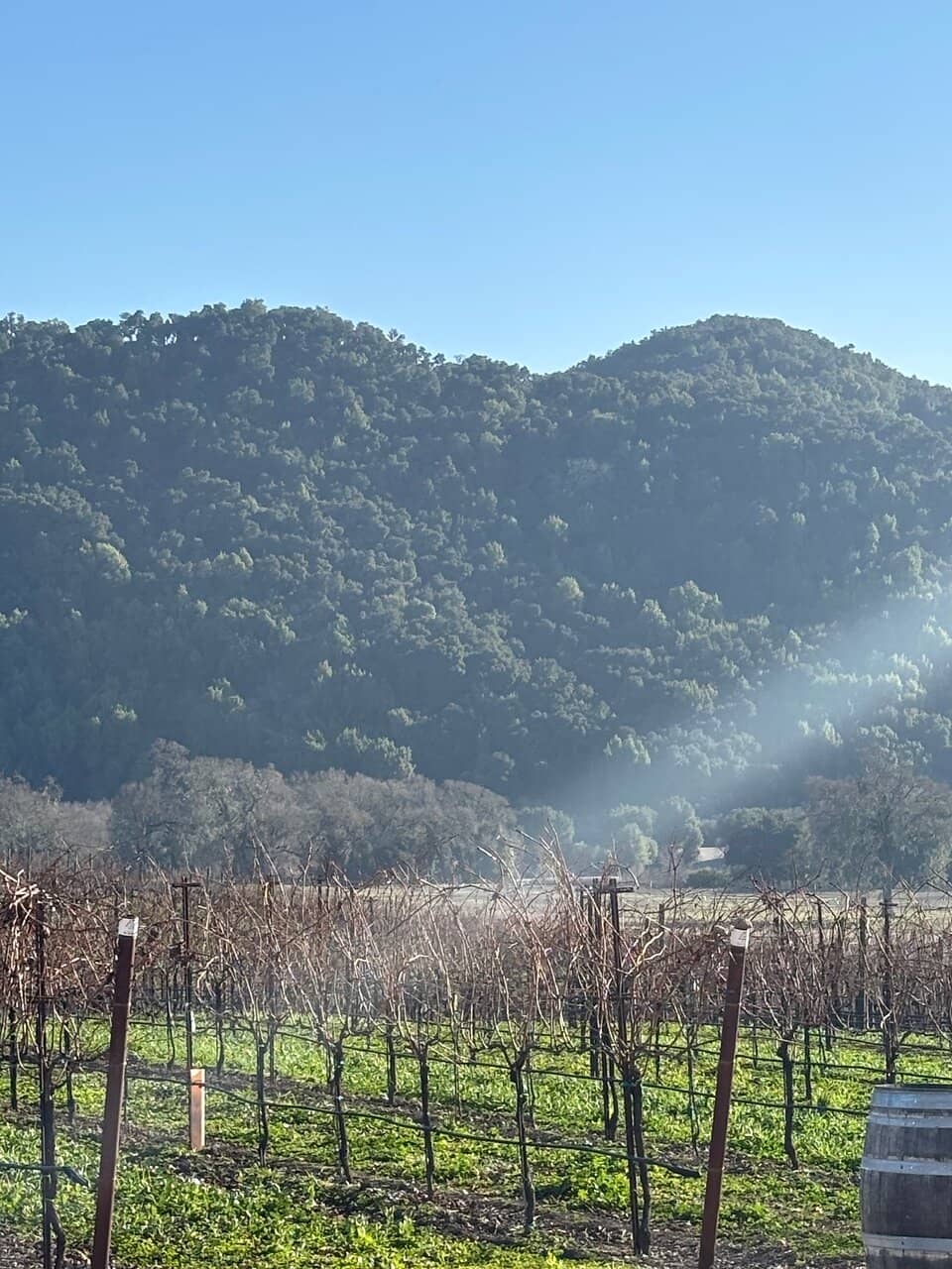 Estate Syrah