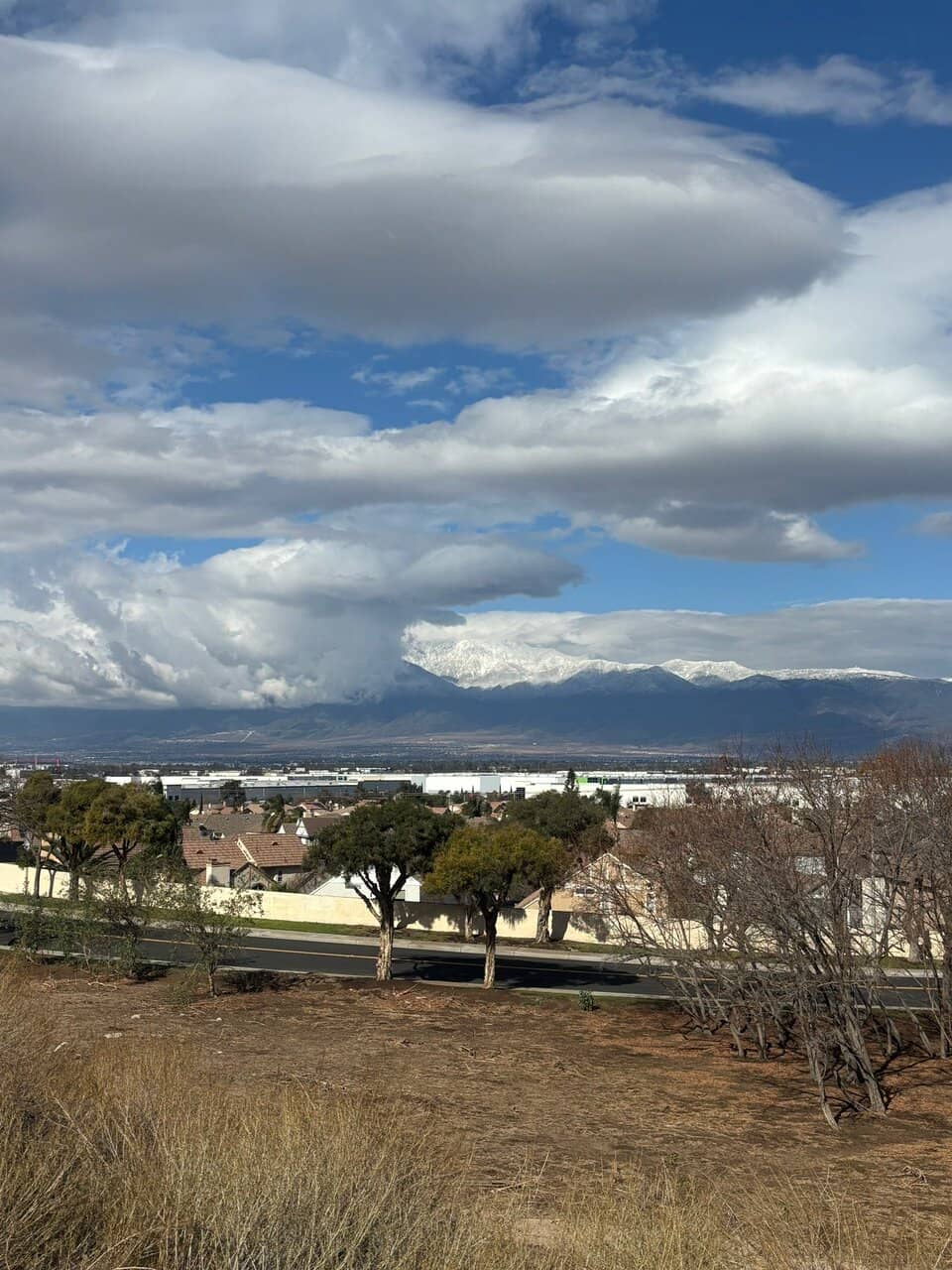 Vertical photo